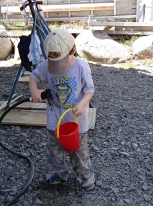 Layton filling his sand bucket with water.